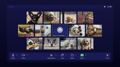 The Dogs of OneSignal: Our Remote-First Office Companions